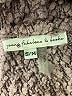 Young Fabulous & Broke Gray Pullover Sweater Size S - photo 10