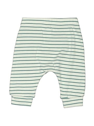 Cloud Island Active Pants (view 2)