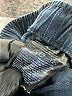 TNA 100% Cotton Solid Blue Casual Pants Size 3T - photo 3