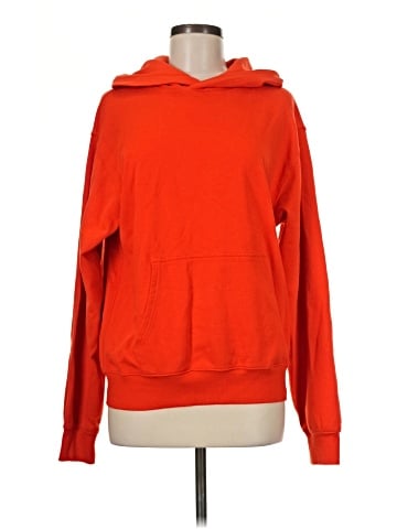 Aritzia Pullover Hoodie (view 1)
