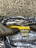 Eddie Bauer 100% Polyester Blue Pullover Sweater 18-24 MO / 24 MO - photo 3