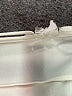 Zaful White Cocktail Dress Size XL - photo 7