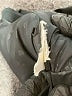 Volcom Black Raincoat Size M - photo 7
