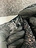 Nic + Zoe Black Cardigan Size M - photo 8