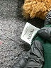 Assorted Brands 100% Polyester Green Fleece Size L - photo 7