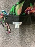 Old Navy 100% Polyester Tropical Black Cocktail Dress Size M - photo 7