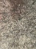 No Boundaries Print Pink Yoga Pants Size M - photo 5