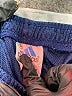 Adidas 100% Polyester Stripes Blue Athletic Shorts Size M (kids) - photo 3