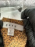 Gaze Brown Sleeveless Top Size S - photo 7