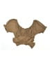 Papermoon Tan Short Sleeve Blouse Size M (youth) - photo 2