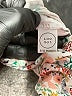 Assorted Brands Floral Ivory Shorts Size 6-12 mo - photo 3