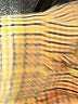 Tularosa Yellow Sleeveless Blouse Size XS - photo 9