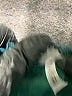 Unbranded Paisley Green Cocktail Dress Size M (estimated) - photo 7