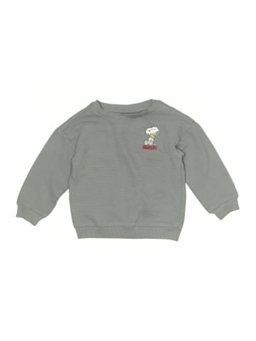 Peanuts Sweatshirt (view 1)