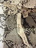 Bellatrix Silver Long Sleeve Button-Down Shirt Size L - photo 7