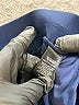 Express Solid Blue Casual Pants Size S - photo 8
