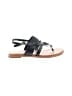 Cole Haan Black Sandals Size 8 1/2 - photo 1