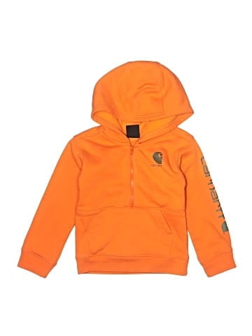 Carhartt Zip Up Hoodie (view 1)