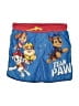 Nickelodeon 100% Polyester Blue Board Shorts Size 3T - photo 1
