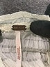 Free People Ivory Long Sleeve Blouse Size L - photo 7