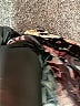 Xhilaration 100% Rayon Paisley Black Romper Size M - photo 6