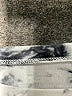 Assorted Brands 100% Cotton Tie-dye Gray Sweatshirt Size M (estimated) - photo 7