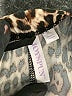 Joyspun Animal Print Brown Casual Pants Size XS - photo 7