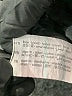 Zara Blue Casual Pants Size L - photo 8