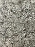 Alfani Gray Casual Pants Size 12 - photo 7