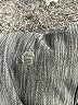 Lululemon Athletica Gray Active Pants Size 8 - photo 7