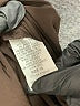 Tiana B. Solid Brown Casual Pants Size 1X - photo 8