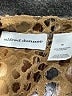 Alfred Dunner 100% Polyester Animal Print Gold Jacket Size 16 - photo 6