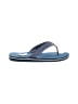Tommy Hilfiger Blue Flip Flops Size 8 - photo 1