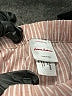 Hanna Andersson Checkered-gingham Tan Shorts Size 5 - photo 3
