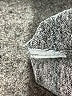 Hollister Gray Short Sleeve Top Size XS - photo 8