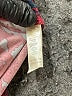 Lularoe Print Red Leggings One size - photo 7