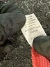 Marine Layer 100% Tencel Red Cardigan Size S - photo 8