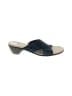 Assorted Brands Blue Sandals Size 11 - photo 1
