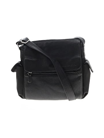 Fossil Messenger (view 1)