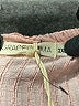 Grace & Emma Pink 3/4 Sleeve Blouse Size 2X - photo 7