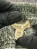Kingston Grey Chevron-herringbone Gray Green Shorts Size XS - photo 3