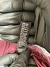 Core 10 Solid Purple Track Pants Size L - photo 8