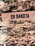 BB Dakota Gray Cardigan Size L - photo 7