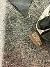 J. McLaughlin Animal Print Tan Casual Dress Size S - photo 8