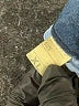 Unbranded Blue Jeans Size XL - photo 5