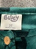 Bluey 100% Polyester Green Dress Size 3T - photo 3