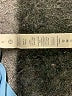 Lululemon Athletica Blue Active Pants Size 6 - photo 5