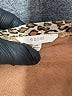 Easel Brown Long Sleeve Top Size M - photo 7