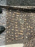 Varley Animal Print Gray Leggings Size M - photo 7