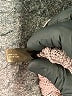 The Limited Brown Pullover Sweater Size L - photo 10